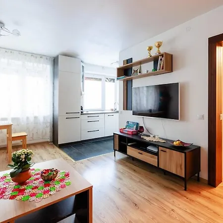 Modern In The Center 아파트 타르투